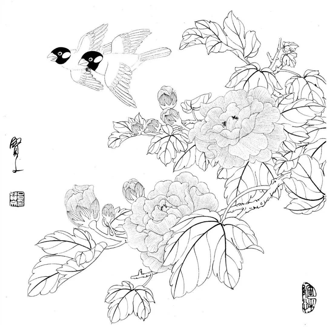 工笔花鸟白描图谱20张