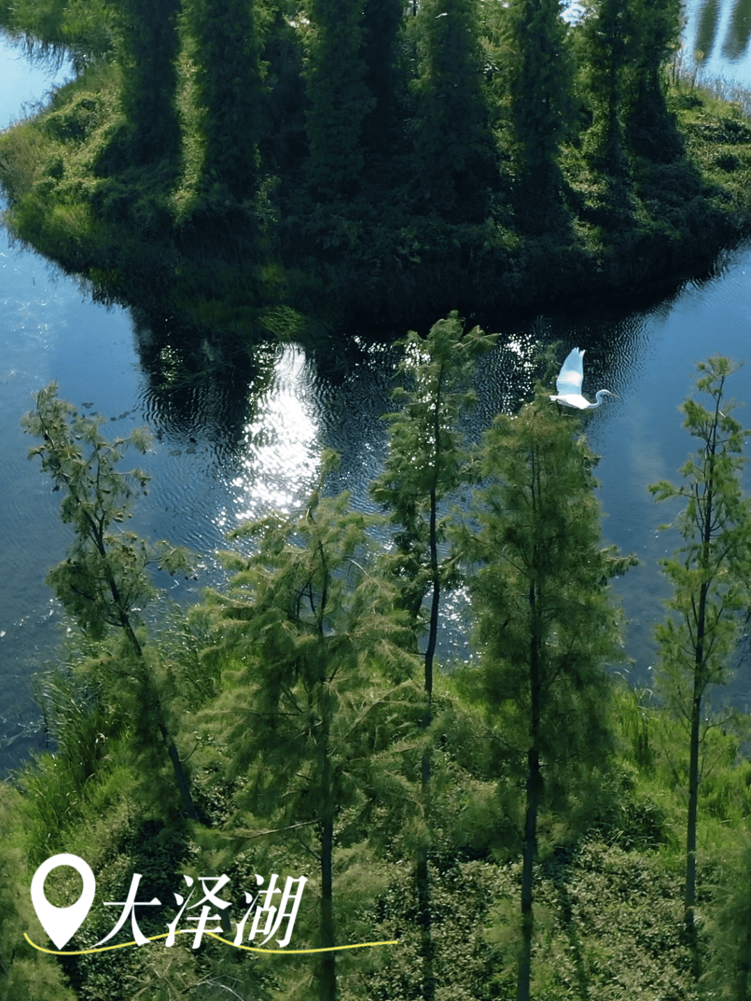 探访最美小镇 望城如此多娇