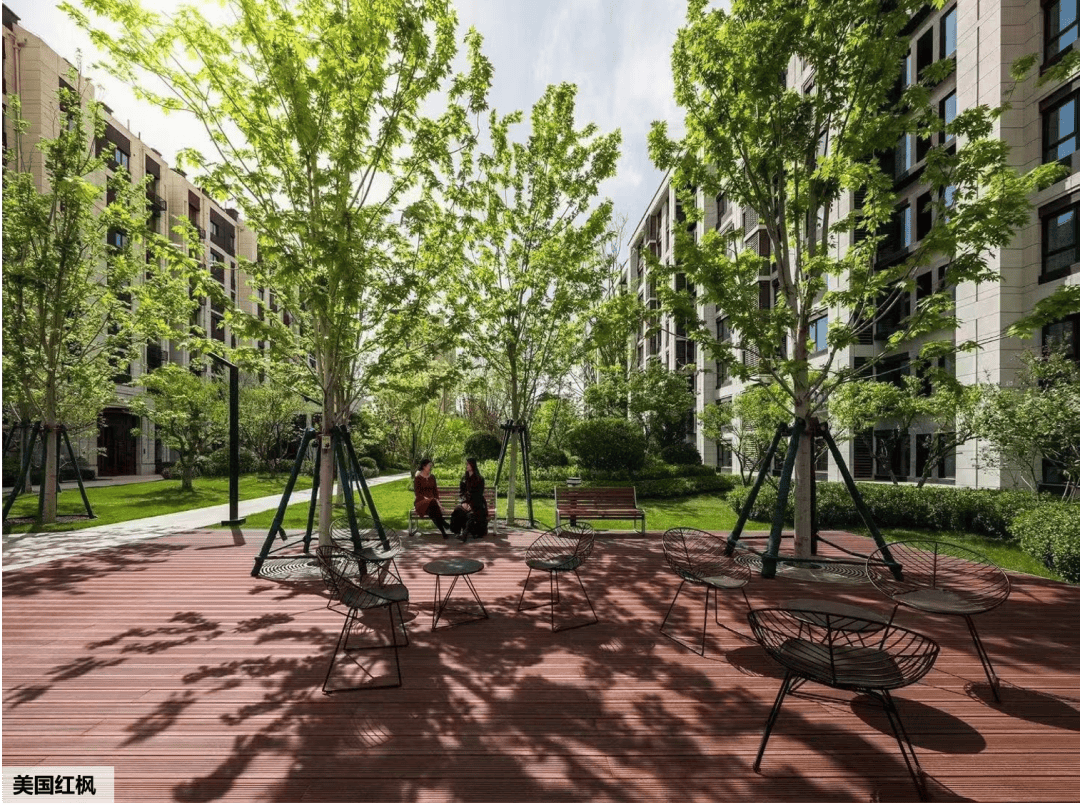 树阵/片植效果的场地设计篇,附品种推荐