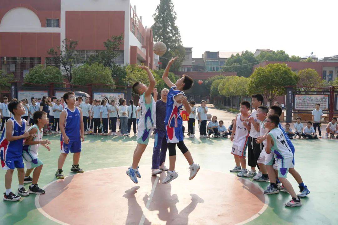 小学生篮球赛美篇图片