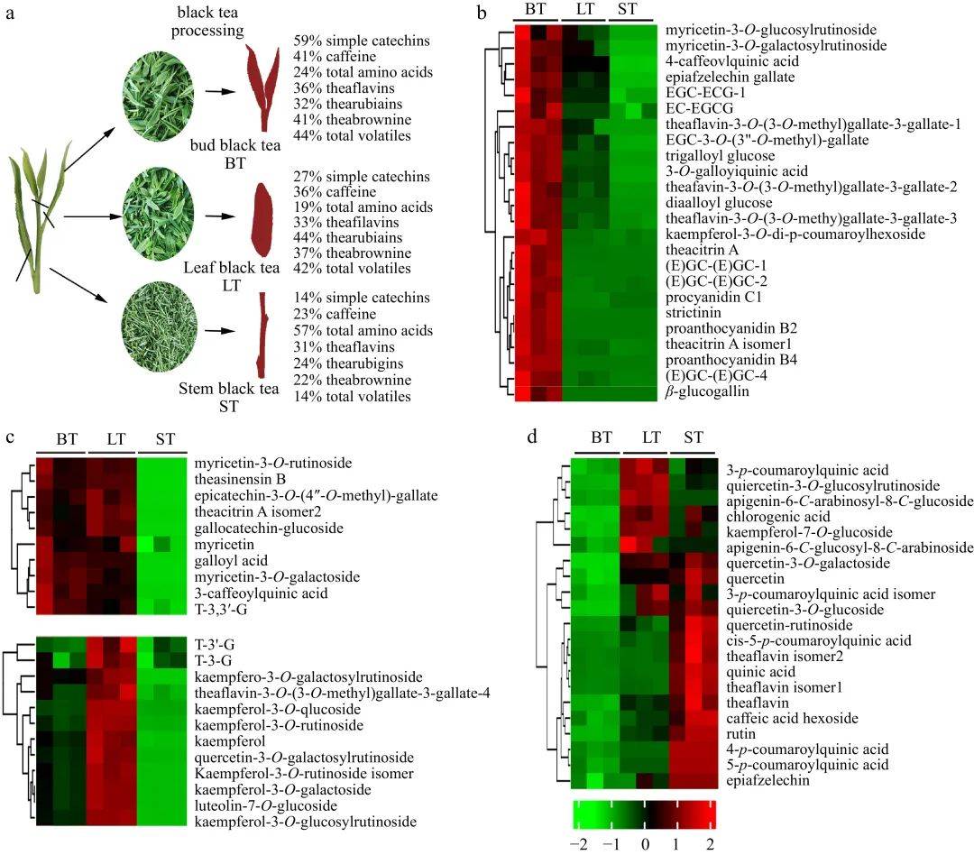 Beverage Plant Res | 安徽省农业科学院茶叶加工团队在不同工艺祁门红茶非挥发性代谢谱差异方面取得新进展-第4张图片-福建名茶