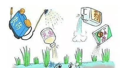 环境保护丨生态环保科普知多少