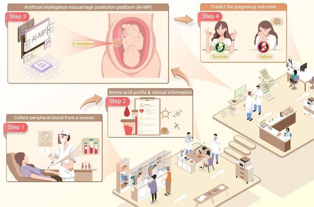 上海交大联合开发 AI 系统，首次实现孕前精准预测流产风险