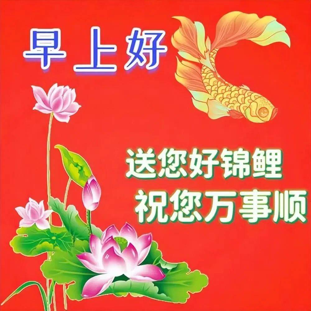 中老年人发的表情包图片