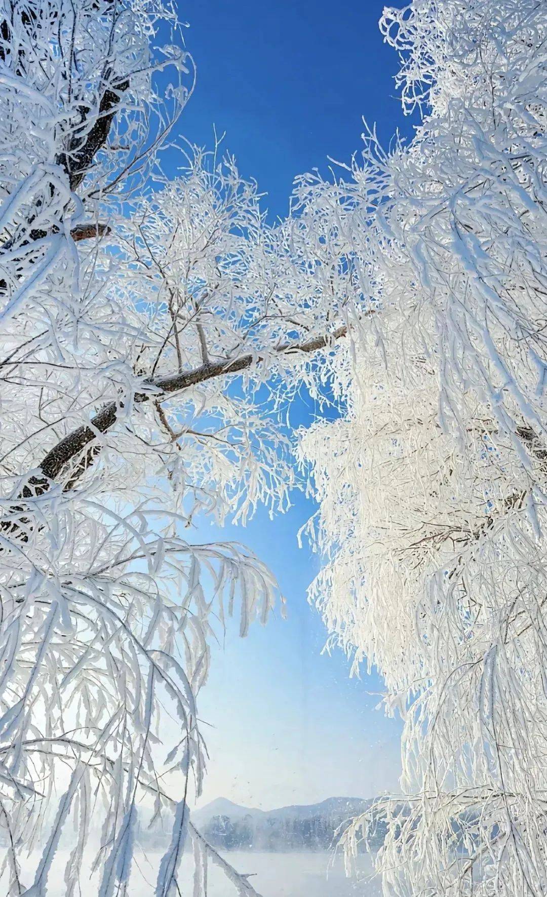 东北最美雪景照片图片