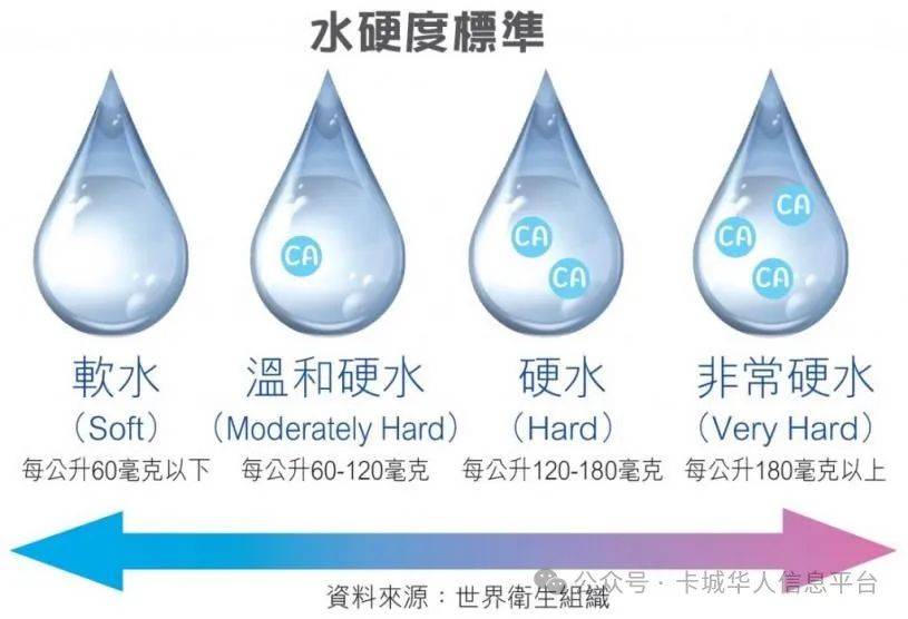 新移民抱怨加拿大生活易脱发原因与硬水有关？