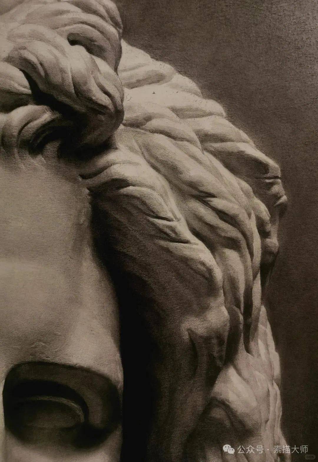 强的可怕!宙斯石膏像素描写生