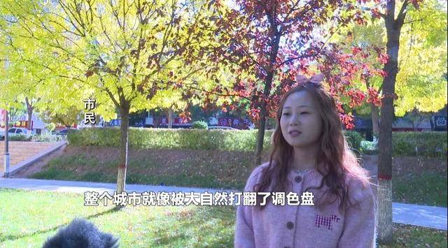 方山：秋意渐浓 美景如画