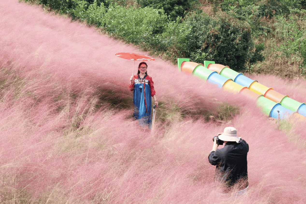 宜宾翠屏:让颜值变“产值” 美景变“钱景” 宜宾翠屏:让颜值变“产值” 美景变“钱景”
