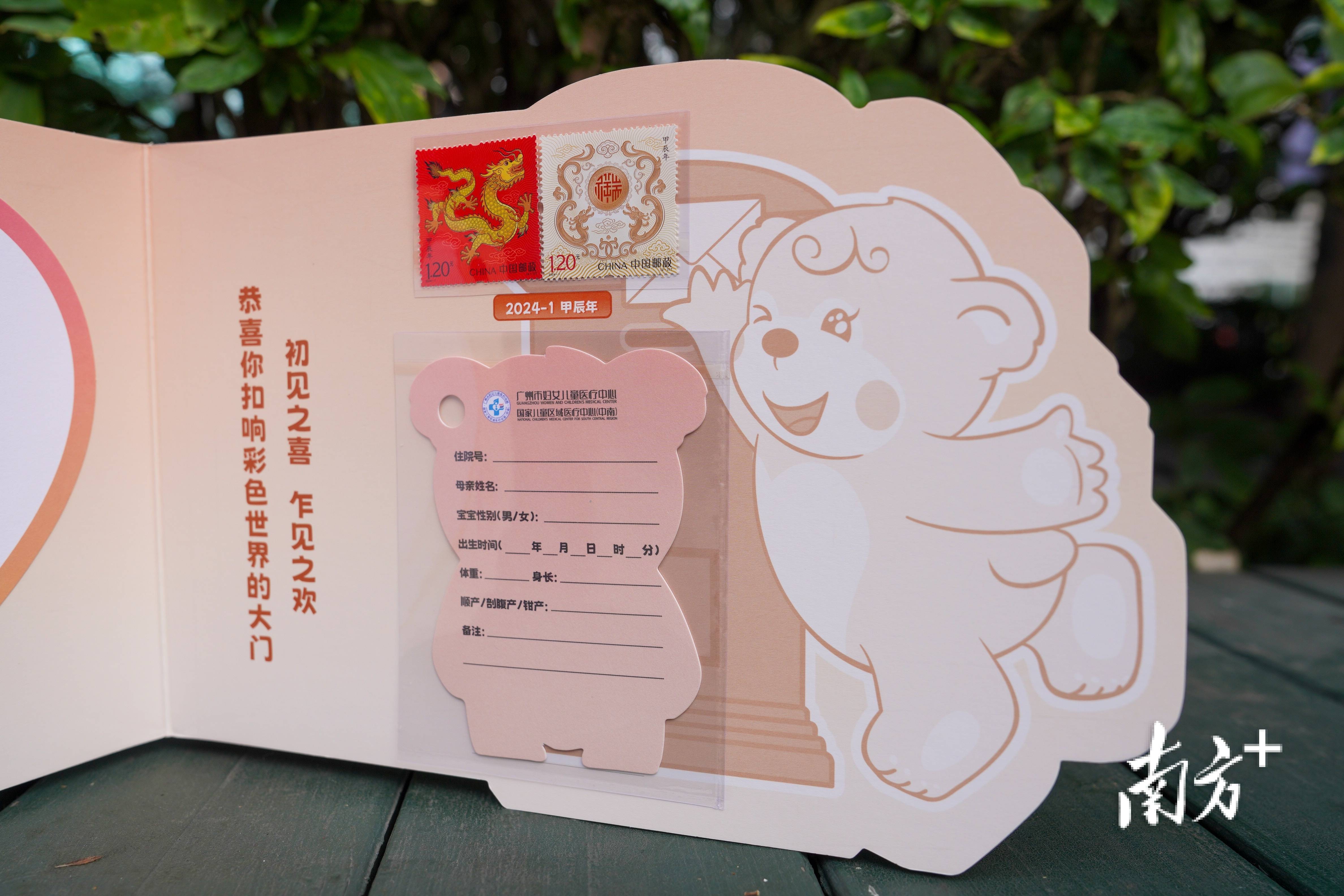 广州"龙宝宝"扎堆报到!广妇儿为新生儿送上专属纪念邮折
