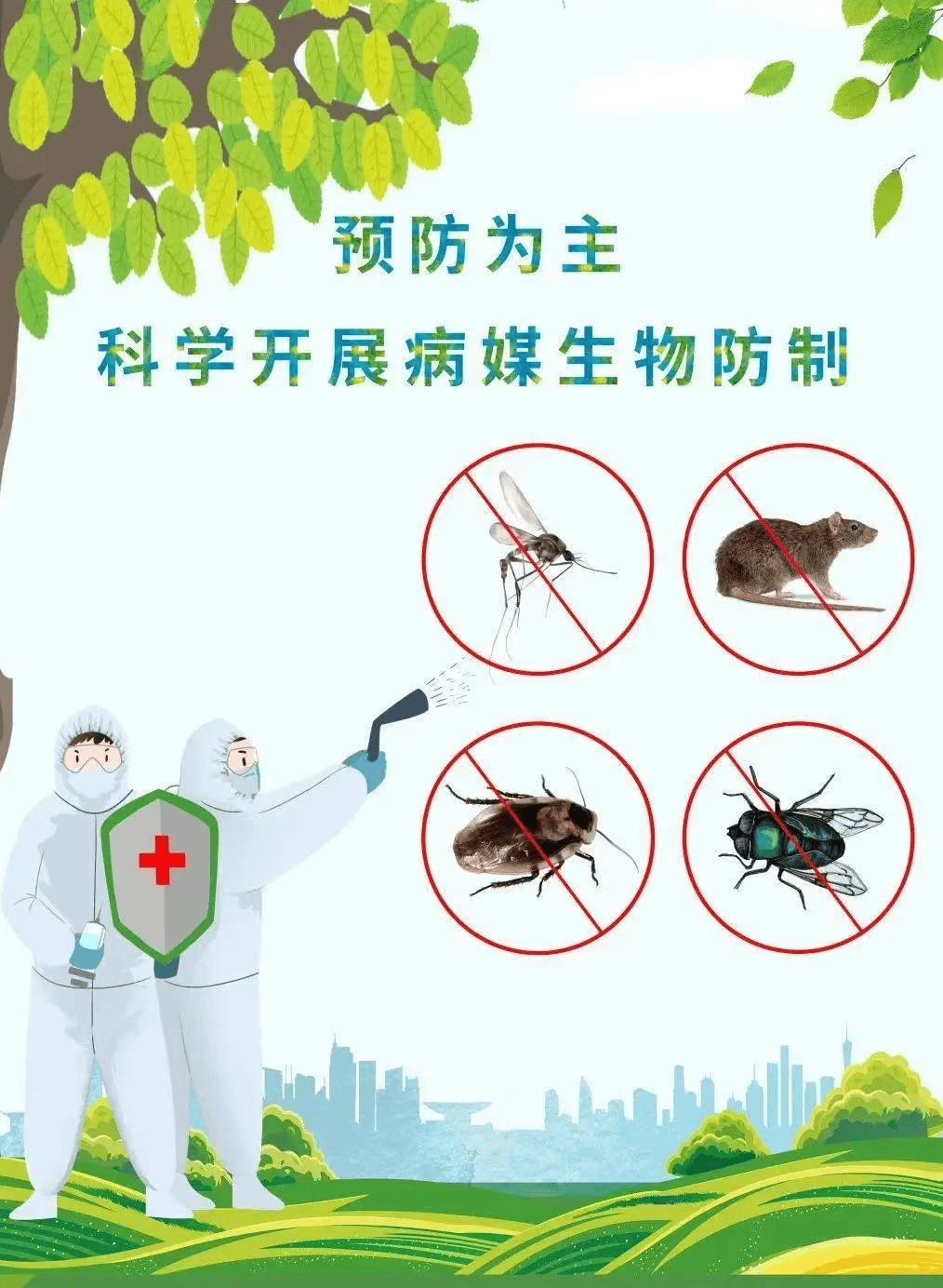 远离病媒侵害,你我共享健康