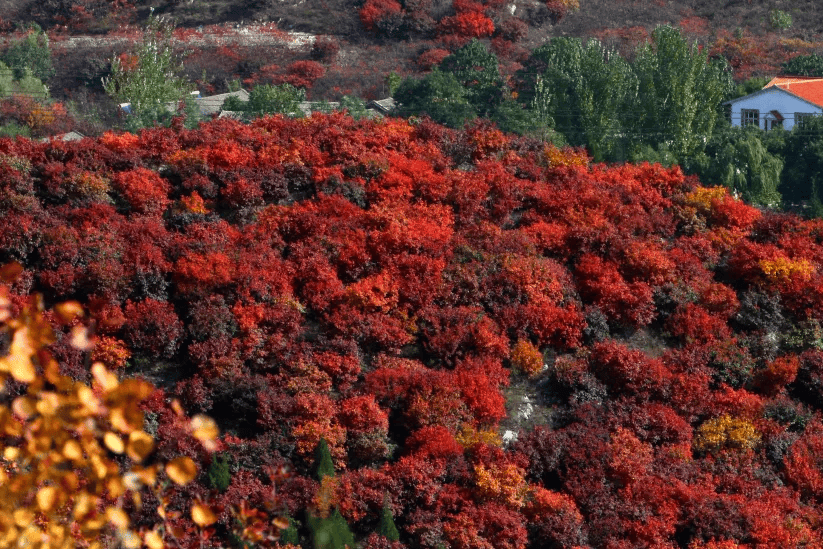 五彩浅山附近景点图片