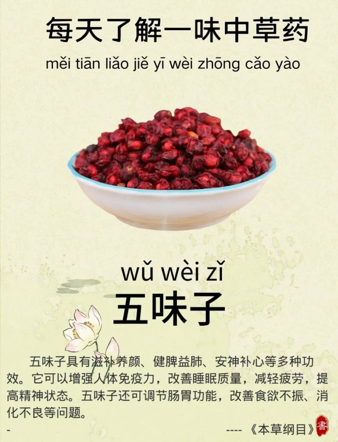 五味子加蜂蜜有什么功效(五味子与蜂蜜有禁忌症)