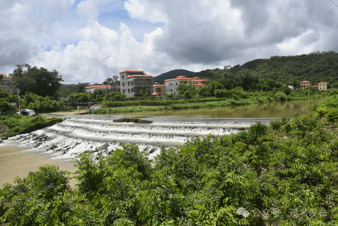 电白区观珠镇:电商"集群"发力,香农"闯出"致富路