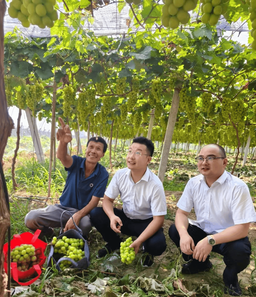 监利龚场刘圣基图片