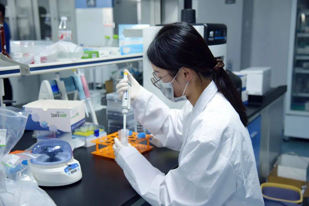 探寻中医药文化的奥秘：三亚中医药研究院引领中医新时代