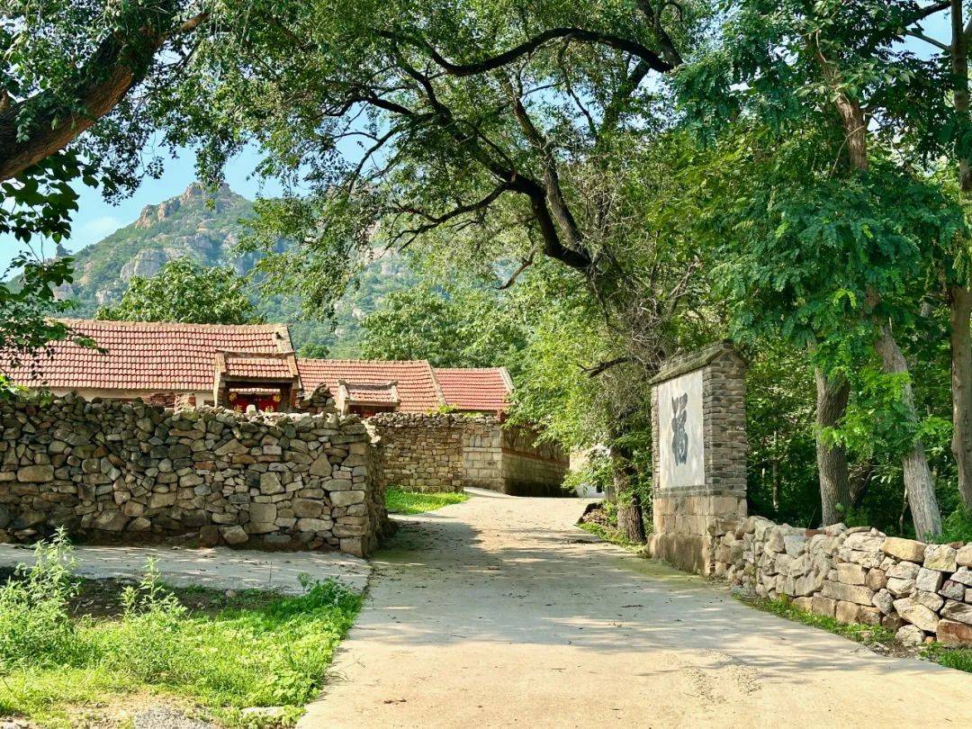 【走遍海阳】留格庄镇环岱庵村:莽莽群山中的修行之地