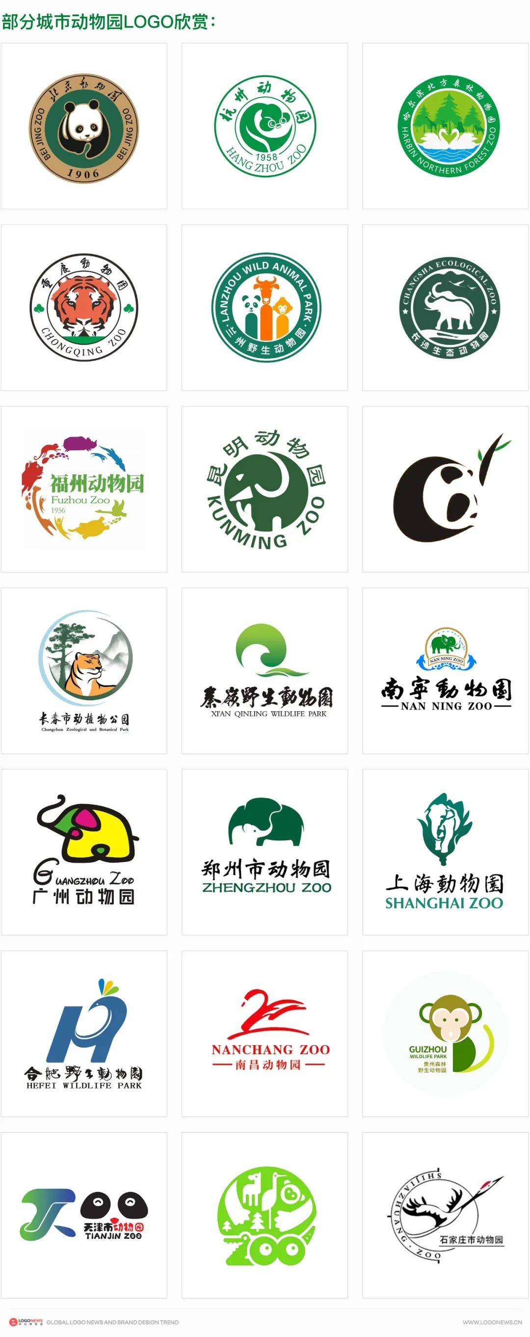 动物园_logo_大熊猫