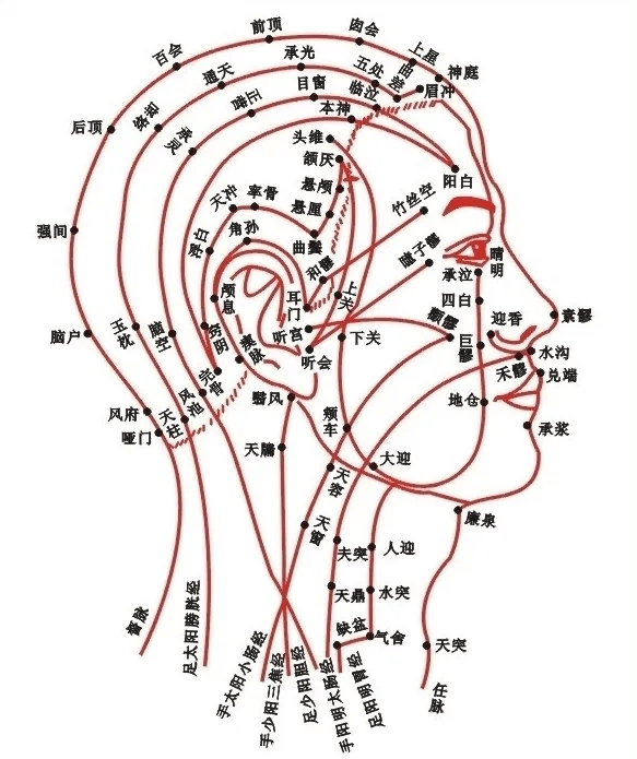 头部太阴的准确位置图图片