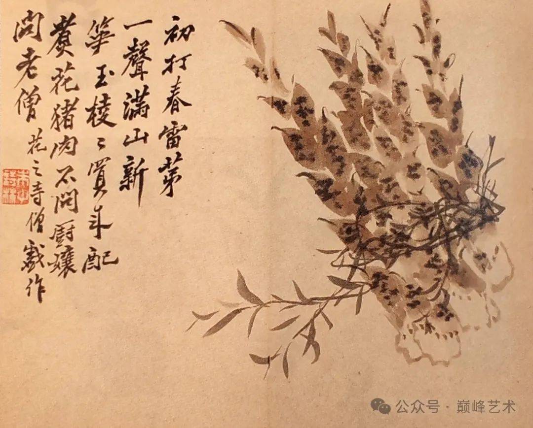每日一画 | 罗聘 花果图册