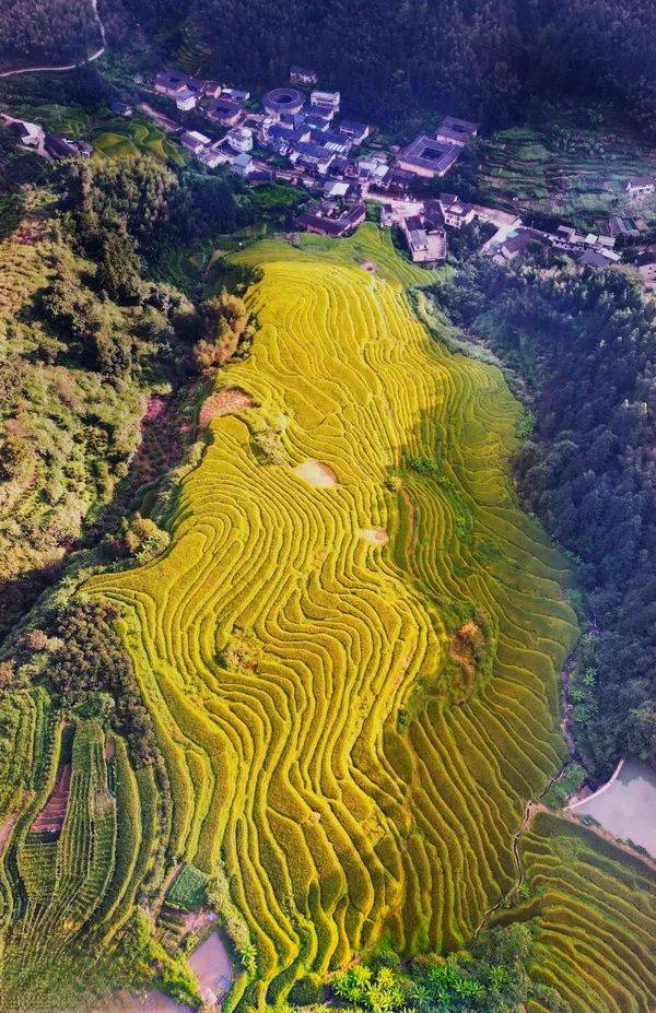 所有的弯路》陈宝容 福安《鸣沙约冬》 余凌 福州《龙脊盛宴》徐天荣