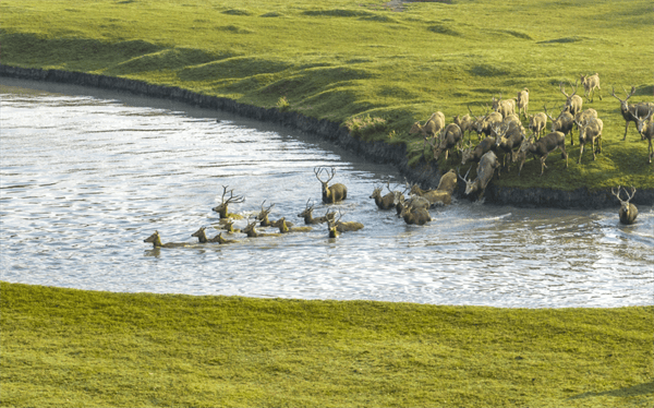姜堰溱湖度假区(溱潼镇):全力打造新时代乡村振兴"溱潼样板"