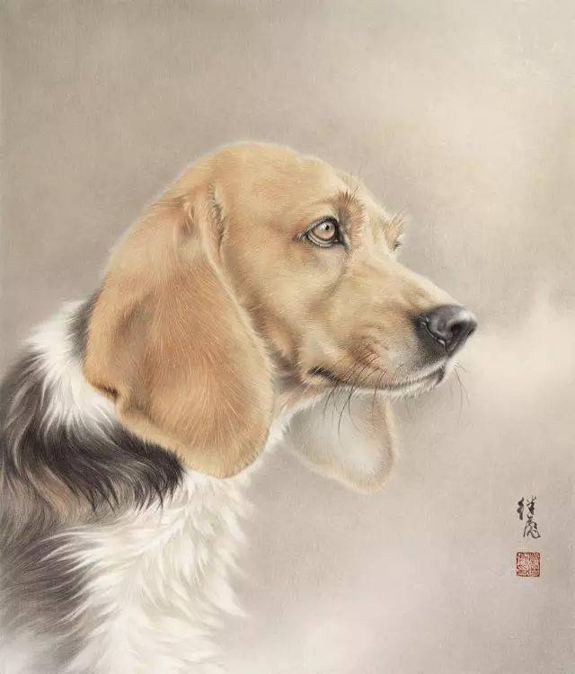 工笔画狗的画法,超详细步骤!