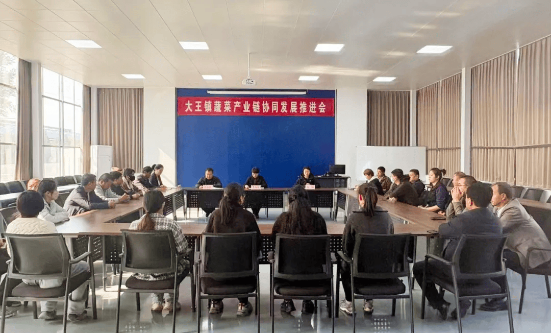 大王镇组织召开蔬菜全产业链协同发展推进会
