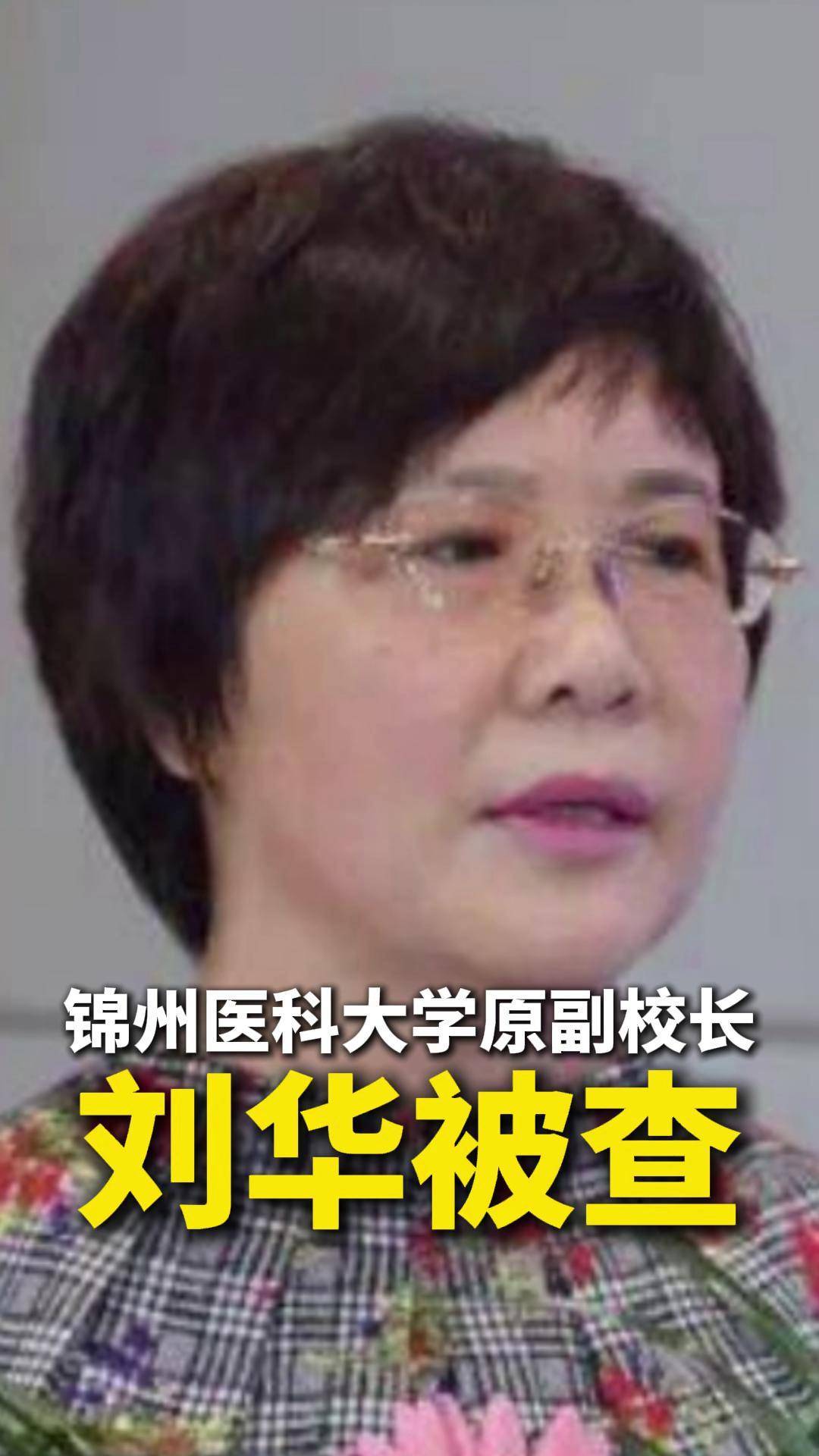 乐昌市市长刘华益图片