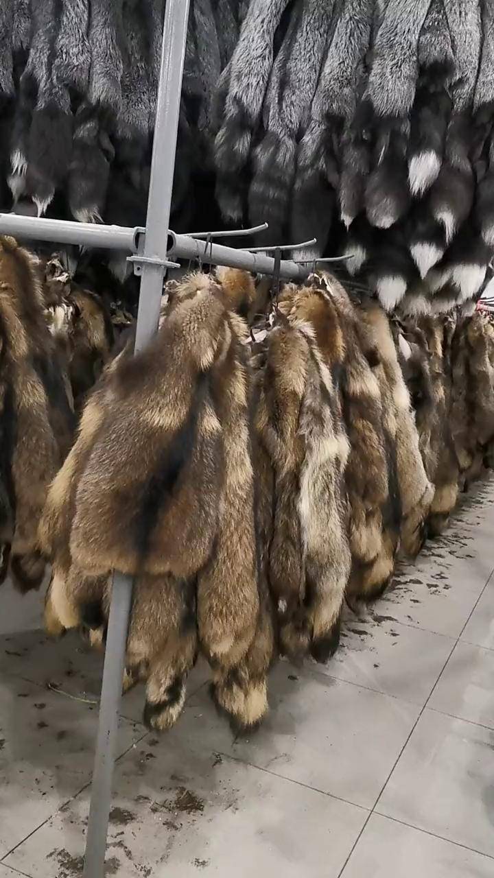 兔毛皮加工行业：传统与现代的交织