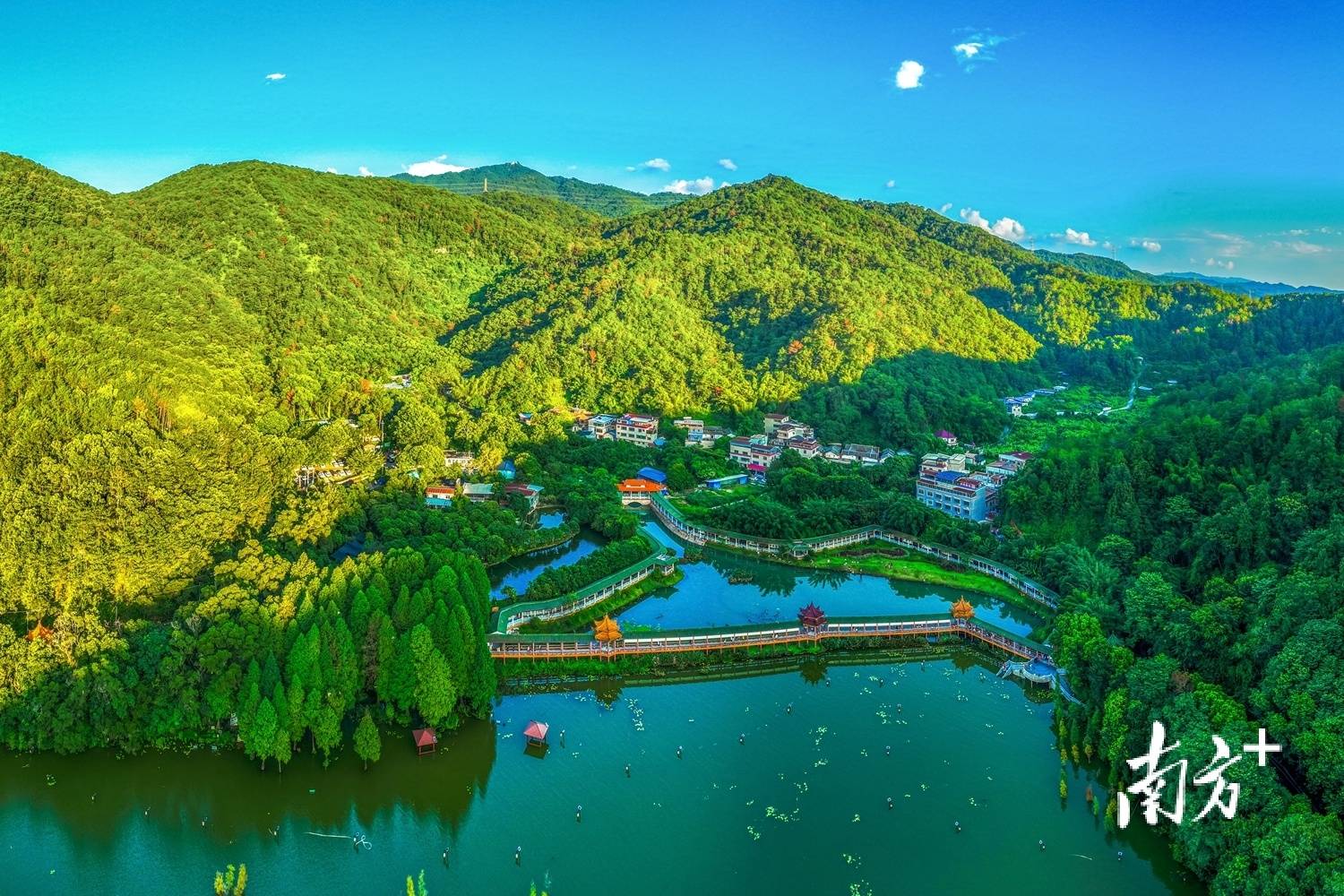 清凉山生态公益林上榜广东十大最美公益林