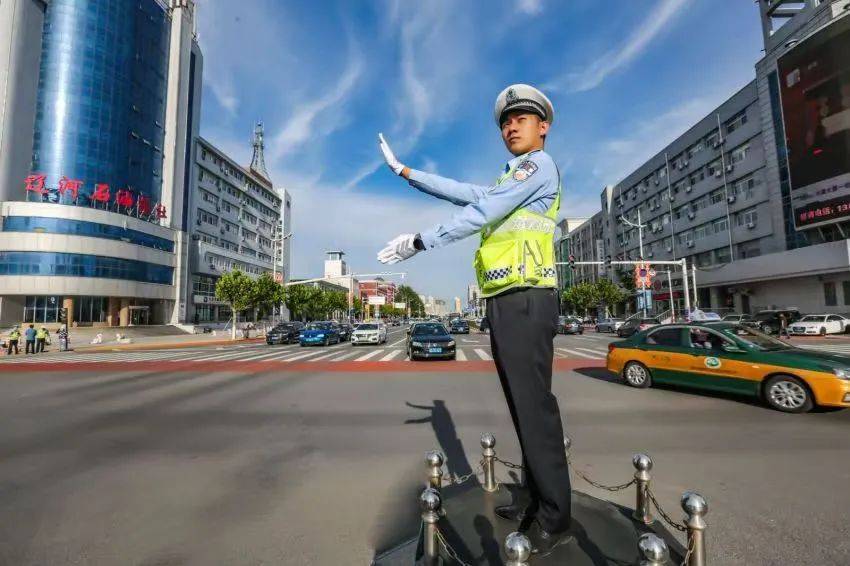 郑艺简介图片