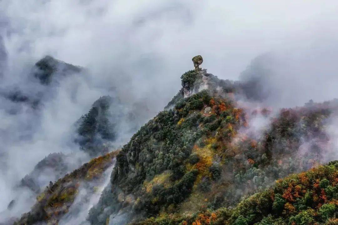 抚顺白鹭岛风景区门票图片