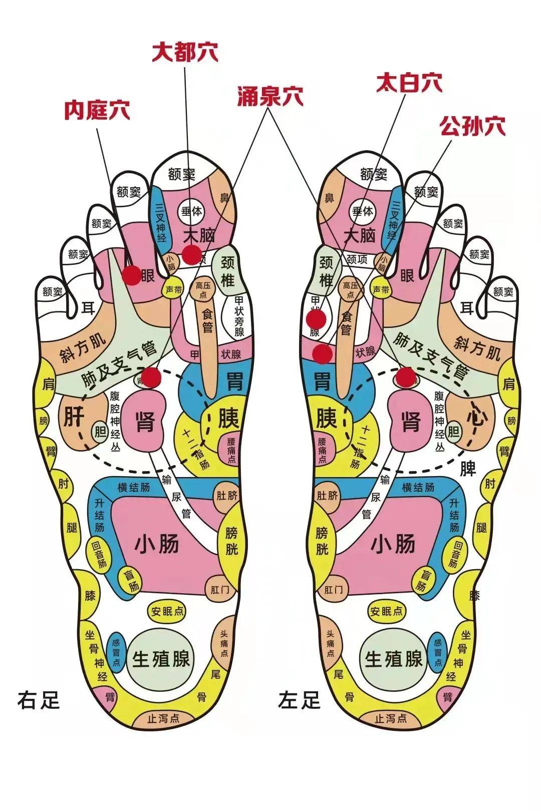 足部_保养_湿气