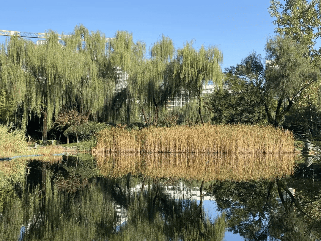 跟着地铁6号线游西安!