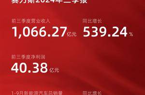 赛力斯前三季度营收突破千亿 净利超40亿元 均创上市以来新高