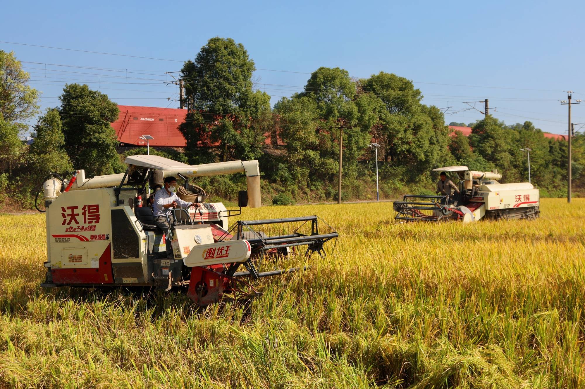 赣南大地 的民生之 农业转型相关图片2