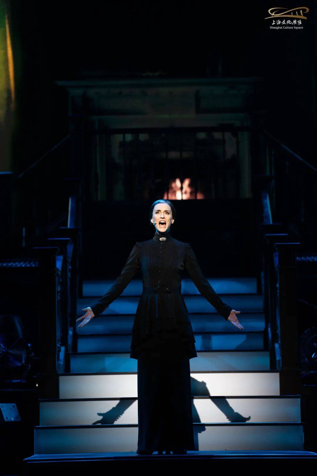 此次德语原版音乐剧《蝴蝶梦》音乐剧版音乐会以其强大的卡司阵容吸引