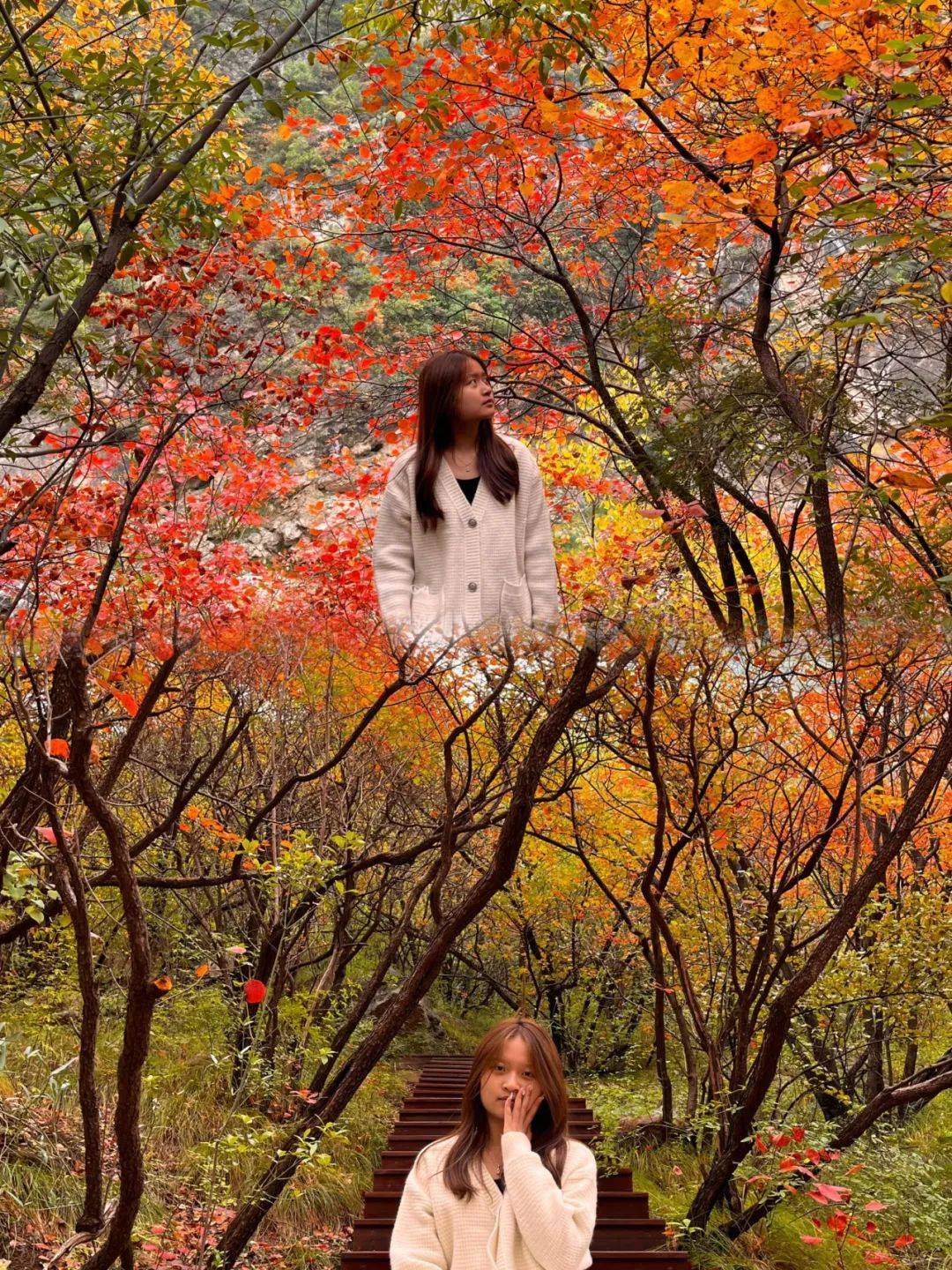 峡谷 栈道 阳光 你/而出行的人儿拿起相机记录美好的一刻远山的红叶在