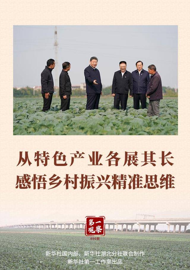 第一观察丨从特色产业各展其长感悟乡村振兴精准思维 第一观察丨从特色产业各展其长感悟乡村振兴精准思维