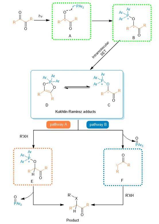 2-二羰基化合物的脱氧转化_反应_中间体_卡宾