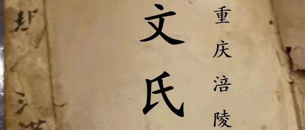 文氏族谱 | 重庆市涪陵区黄桷湾寻根问祖大事记_族人_文元_文相