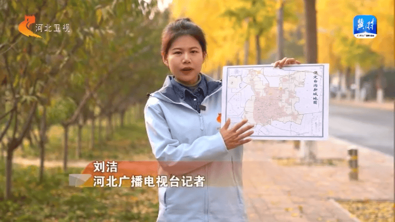 我现在手里拿的是一张保定白沟新城的区域图,这张图上有红色标记的