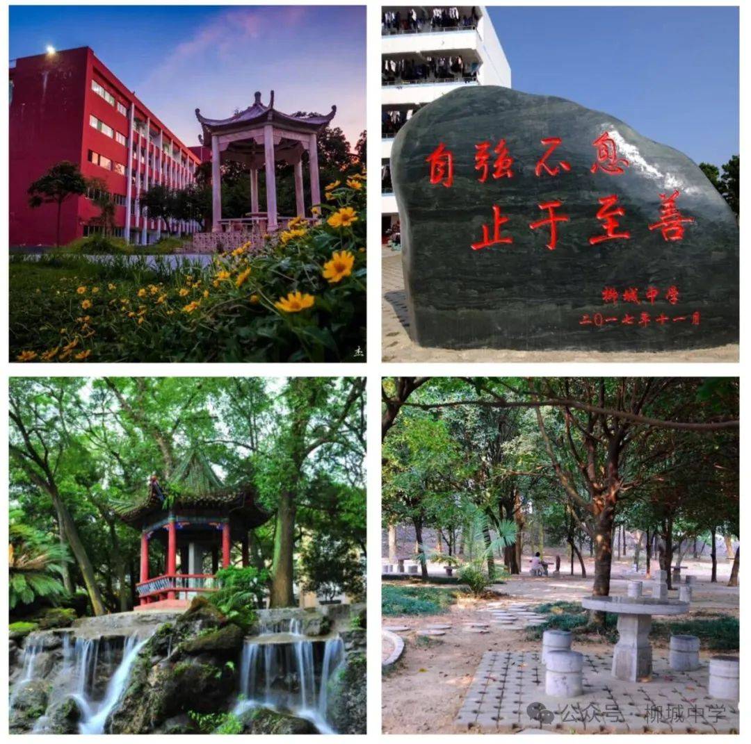 柳城中学招聘教师公告