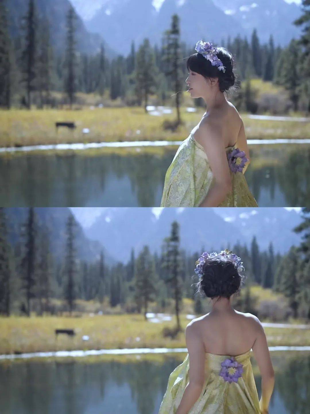 图源:李子柒绵阳小城平武藏不住啦!