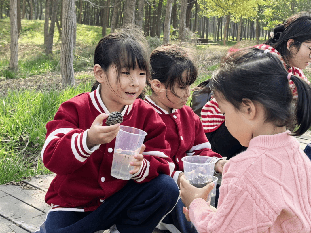 幼儿园研学活动美篇图片