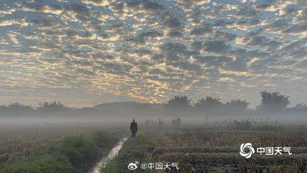 冷空氣即將到貨！廣西玉林市 “魚鱗云”扮靚天空