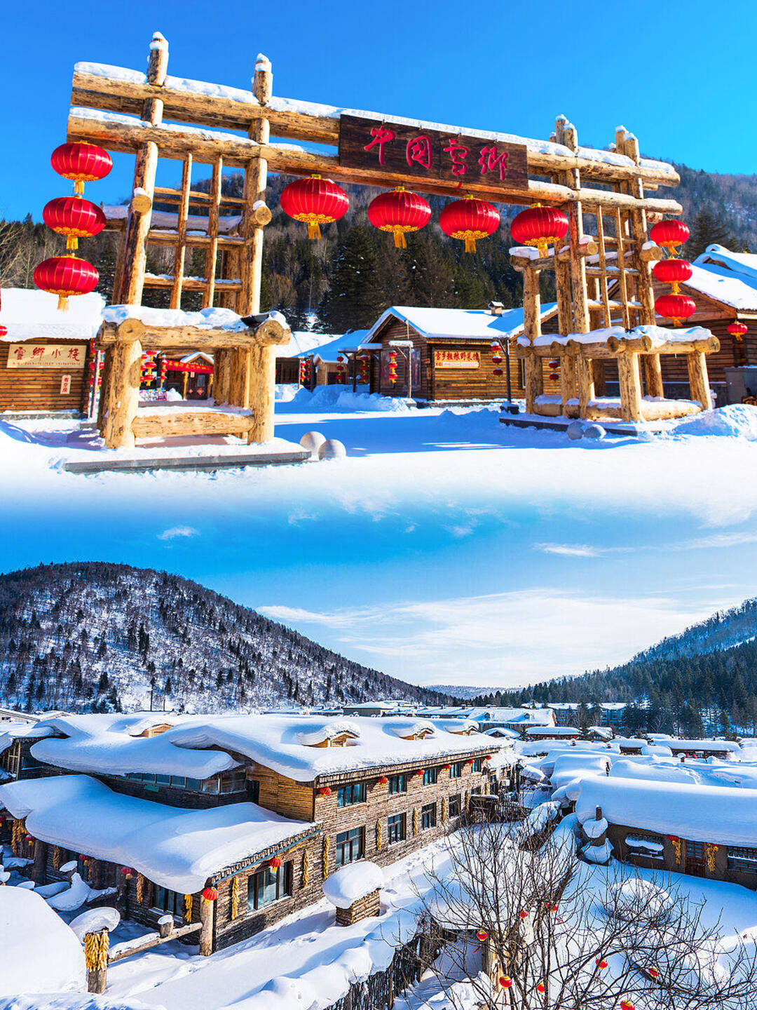 哈尔滨哪个旅游团最好(哈尔滨旅游团报名一日游)