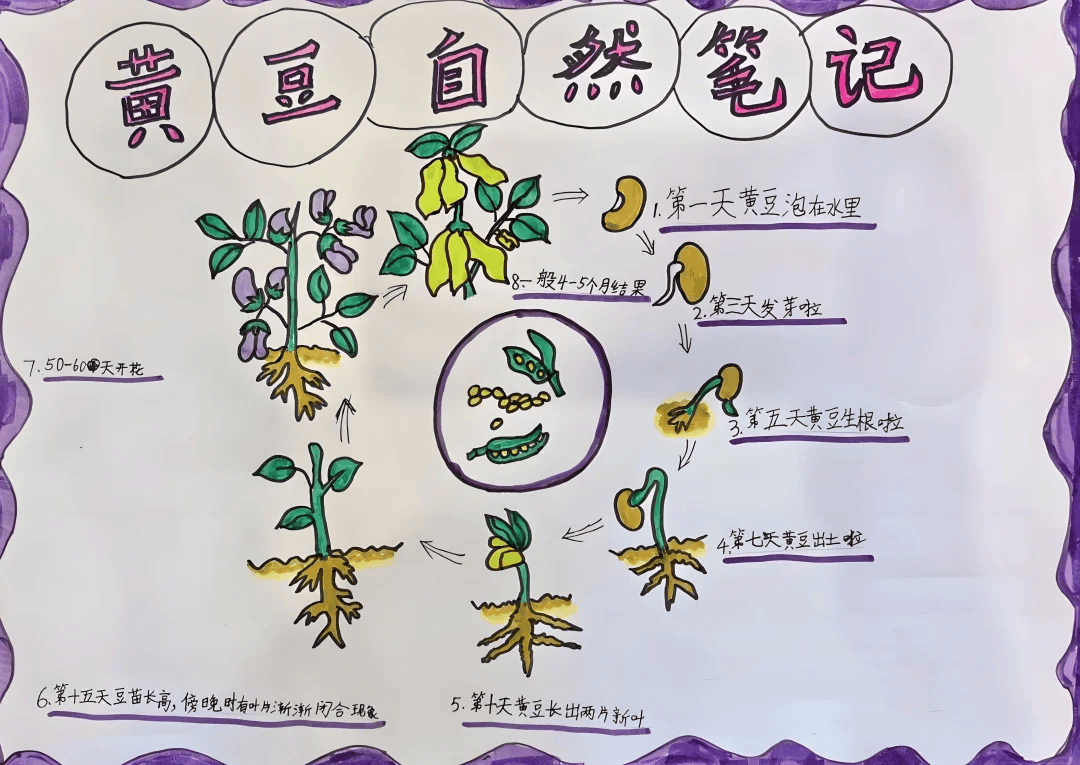 宛如一群探索未知的小冒险家,并制作了详细的思维导图