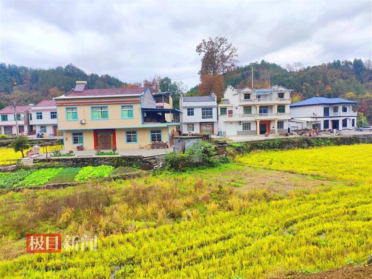 竹山县竹坪乡女干部图片